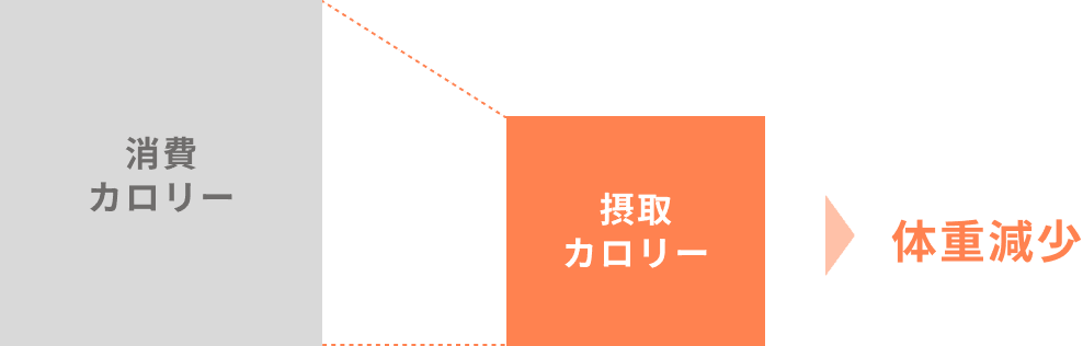 摂取カロリーが消費カロリーを下回る状態が続けば、体重は減少し、脂肪が燃焼されます。