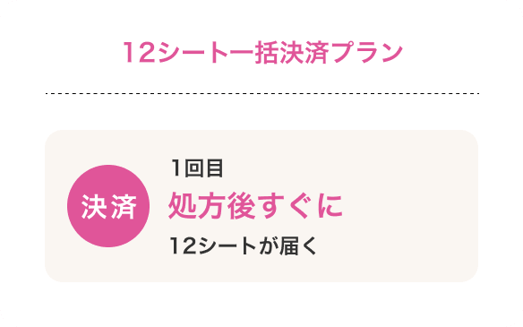 12シート一括決済プラン