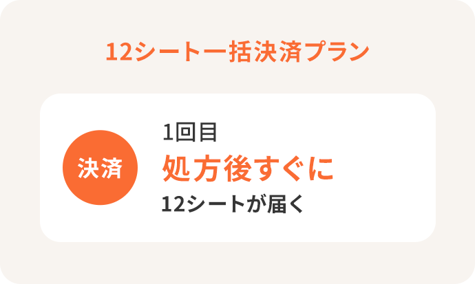12シート一括決済プラン