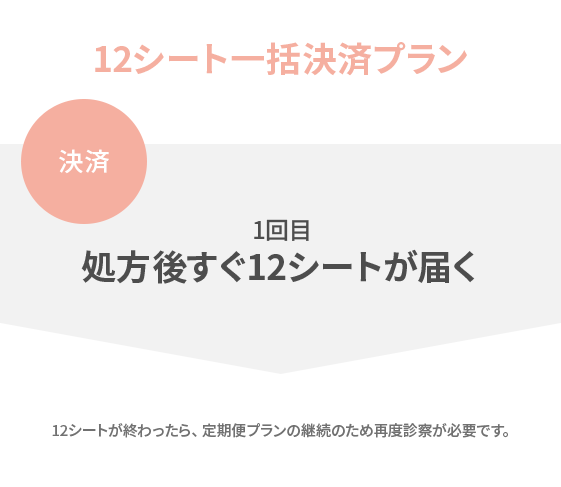 12シート一括決済プラン
