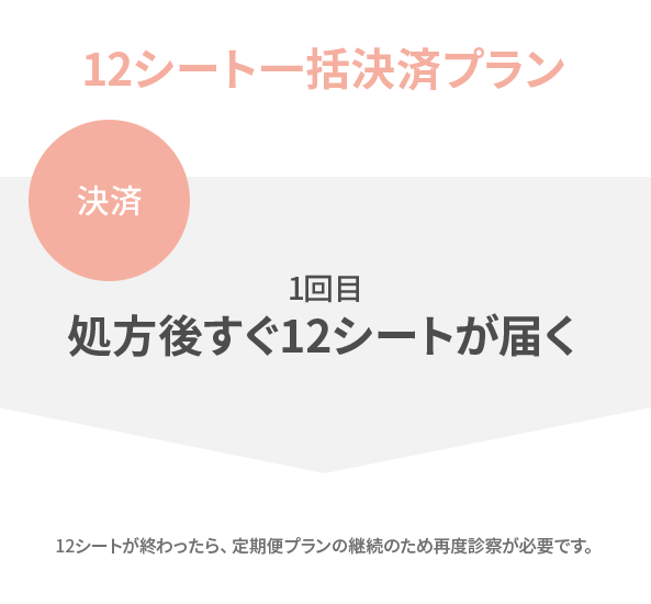12シート一括決済プラン